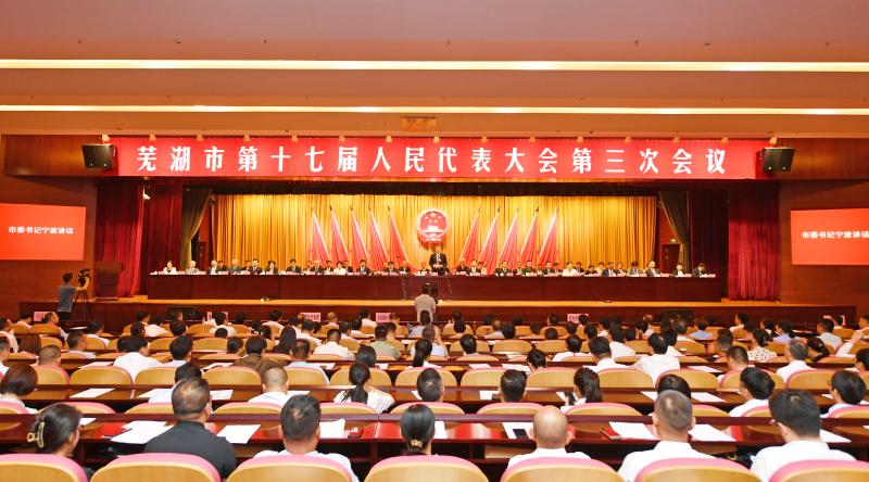 市十七届人大三次会议胜利闭幕