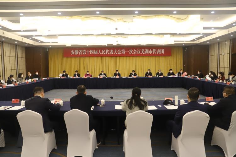 省十四届人大一次会议芜湖代表团召开全体代表会议